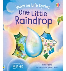 Usborne Life Cycles. One Little Butterfly