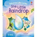 Usborne Life Cycles. One Little Raindrop