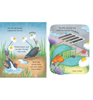 Usborne Life Cycles. One Little Raindrop