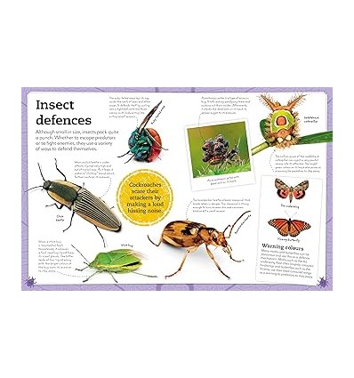 My Book of Bugs