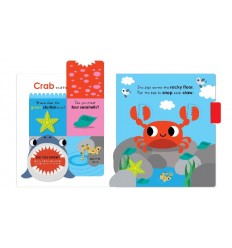 My Busy Shark Book and Other Ocean Creatures 2