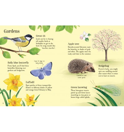 Things to Spot in Springtime
