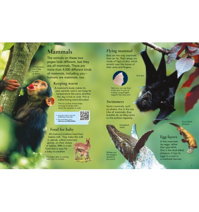 First Encyclopedia of Animals