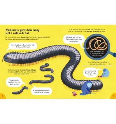 Lots of Things to Know About Bugs