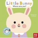 Little Bunny, Where Are You?