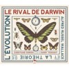 Darwin's Rival: Alfred Russel Wallace and the Search for Evolution