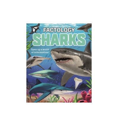 Factology: Sharks