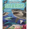 Factology: Sharks