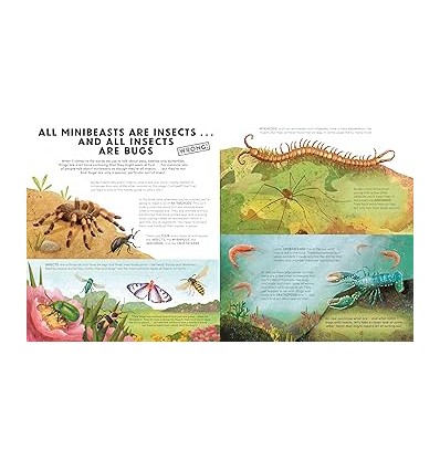 Everything You Know About Minibeasts is Wrong!