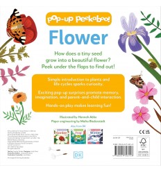 Pop-Up Peekaboo! Flower 2