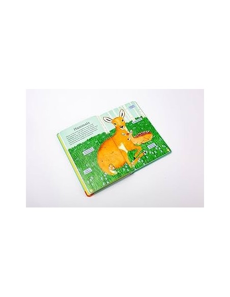 Out and About: Animal Spotter