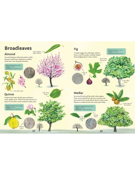 Spotter's Guides: Trees