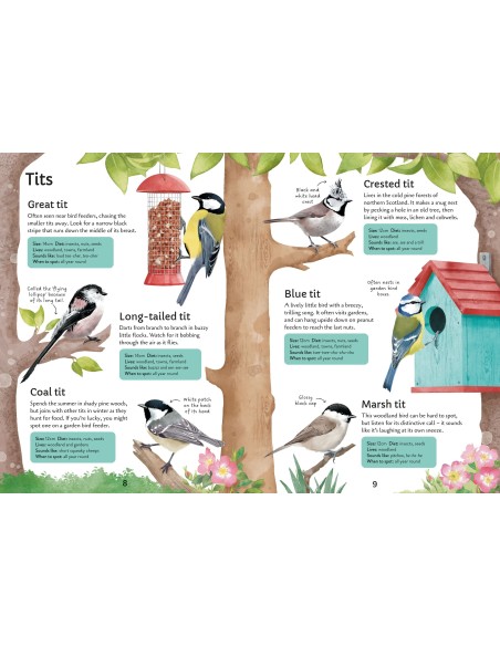 copy of copy of Spotter's Guides: Wild Flowers