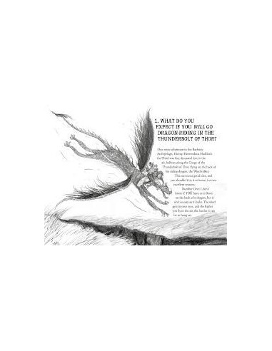 How to Train Your Dragon