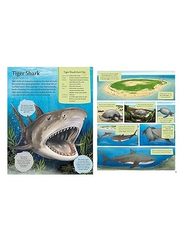 Curious Features of Extraordinary Creatures: Clean-Up Crew