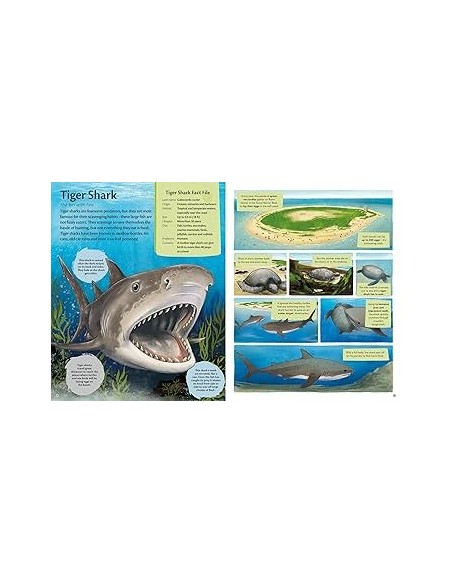 copy of copy of copy of copy of How Big? Animals