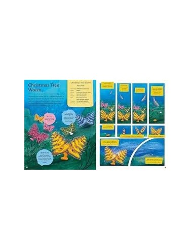 Curious Features of Extraordinary Creatures: Clean-Up Crew