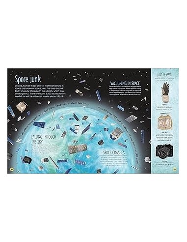 copy of copy of copy of copy of copy of How Big? Animals