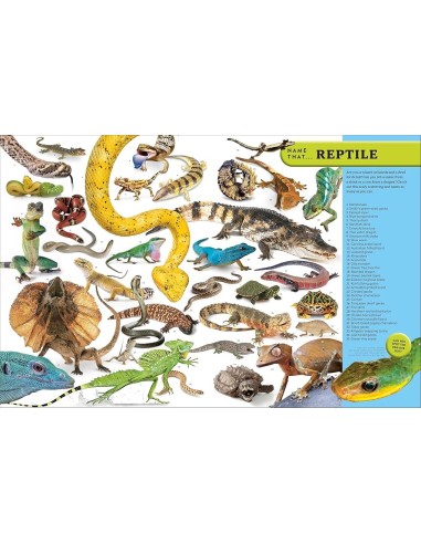 Eyewitness Encyclopedia of Animals