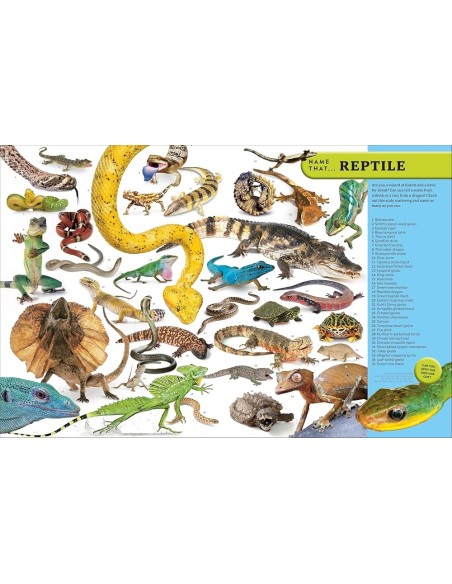 Eyewitness Encyclopedia of Animals