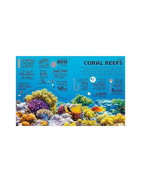 Our World in Numbers Planet Earth