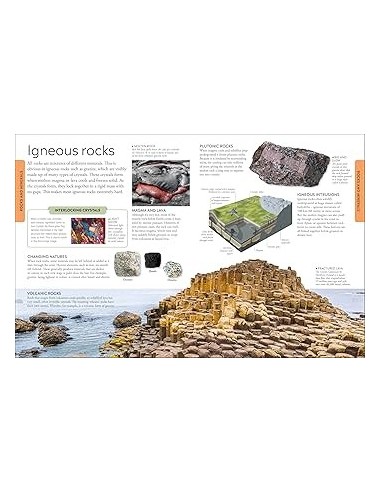 copy of copy of copy of copy of copy of copy of copy of Home Lab : Exciting Experiments for Budding Scientists