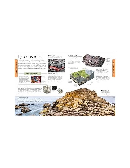 copy of copy of copy of copy of copy of copy of copy of Home Lab : Exciting Experiments for Budding Scientists