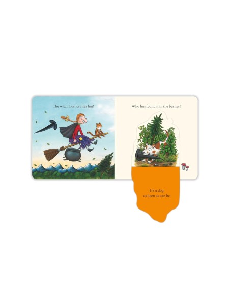 Room on the Broom: A Lift-the-Flap Book