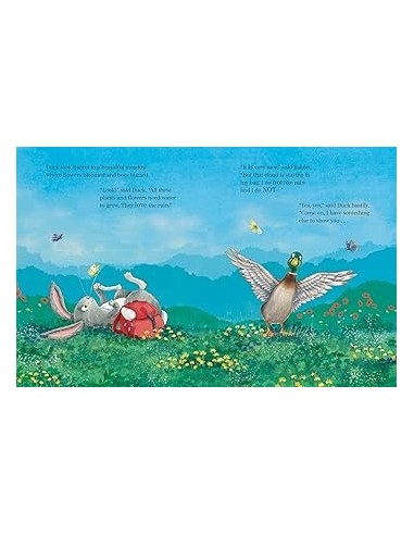 The Rabbit, the Cloud and the Rainy Day