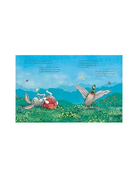 The Rabbit, the Cloud and the Rainy Day