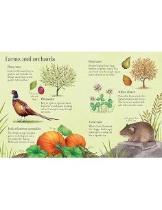 copy of Things to Spot in Springtime 2