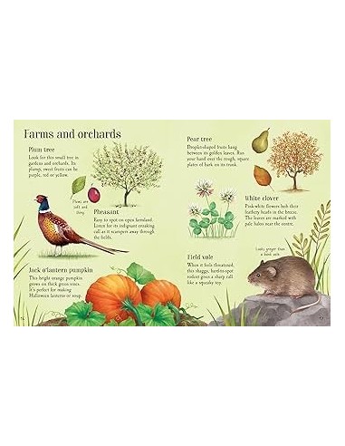 copy of Things to Spot in Springtime