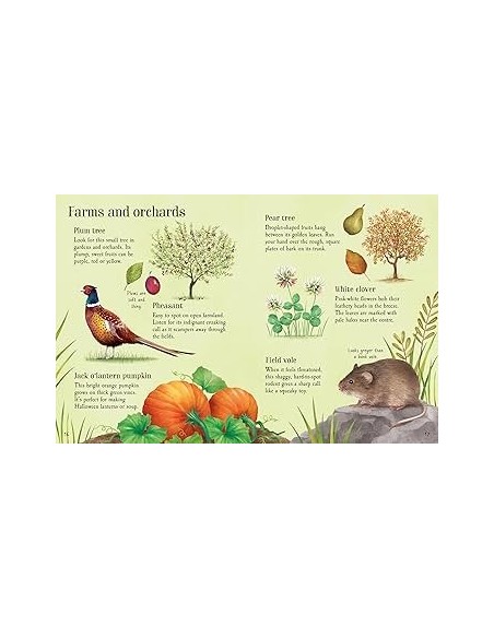 Things to Spot in Autumn