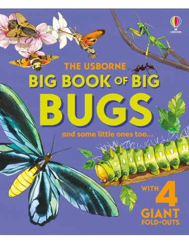Big Book of Big Bugs