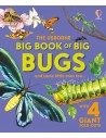 Big Book of Big Bugs
