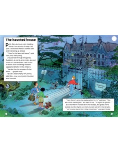 Puzzle Adventures. The Ghost in the Mirror 2