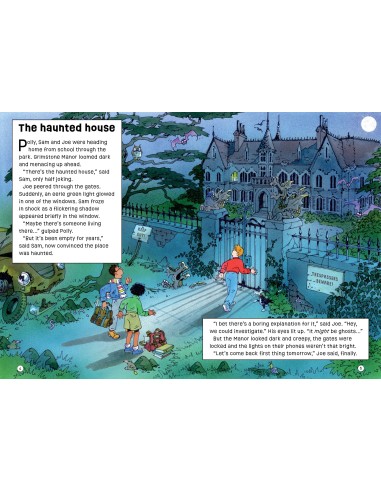 Puzzle Adventures. The Ghost in the Mirror