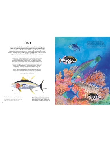 The Illustrated Encyclopedia of Ocean Life