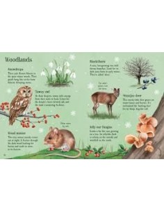 copy of copy of Things to Spot in Springtime 2