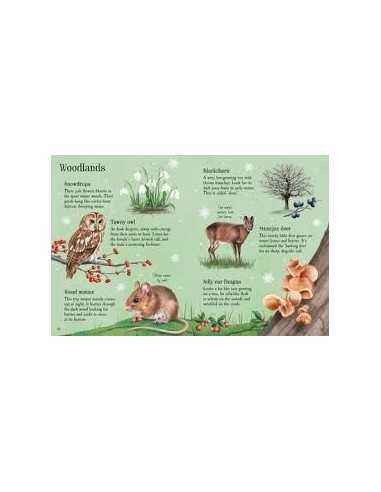 Things to Spot in Winter