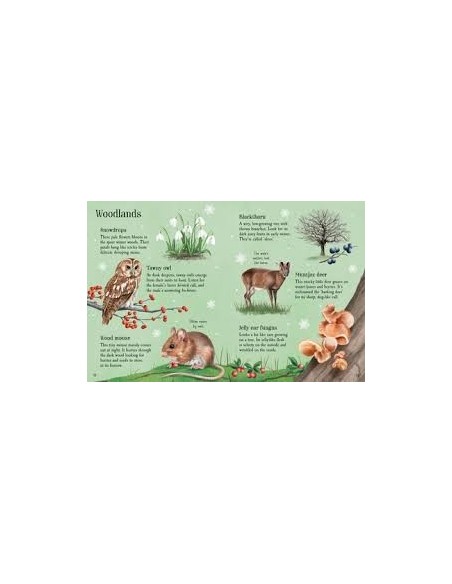 copy of copy of Things to Spot in Springtime