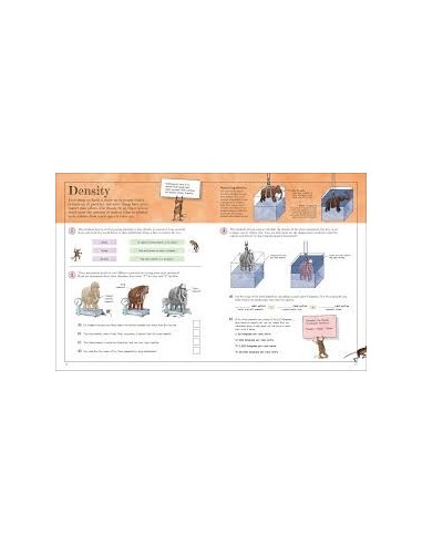 copy of copy of copy of Pop-Up Peekaboo! Frog