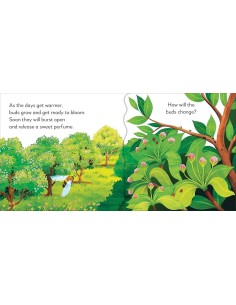 Pop-Up Peekaboo! Tree 2