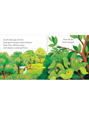 Pop-Up Peekaboo! Tree