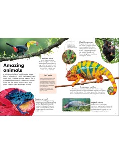 Eyewonder Rainforest 2