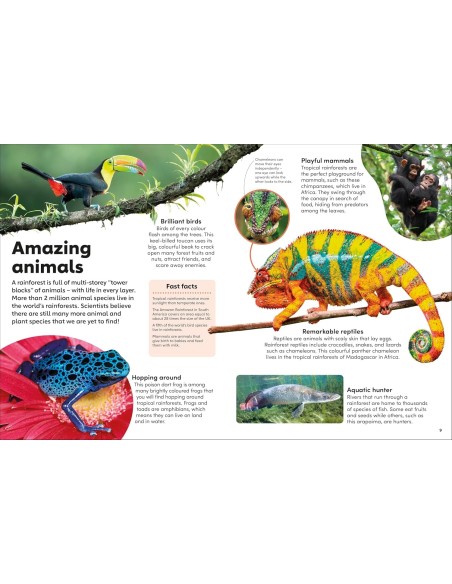 copy of copy of copy of copy of Pop-Up Peekaboo! Frog