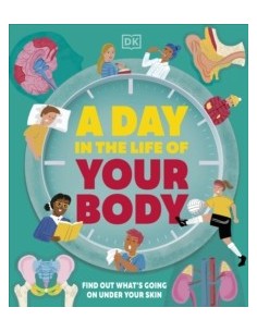 A Day in the Life of Your Body