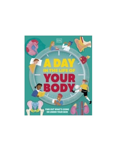 A Day in the Life of Your Body