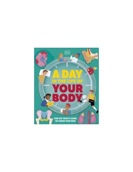 A Day in the Life of Your Body