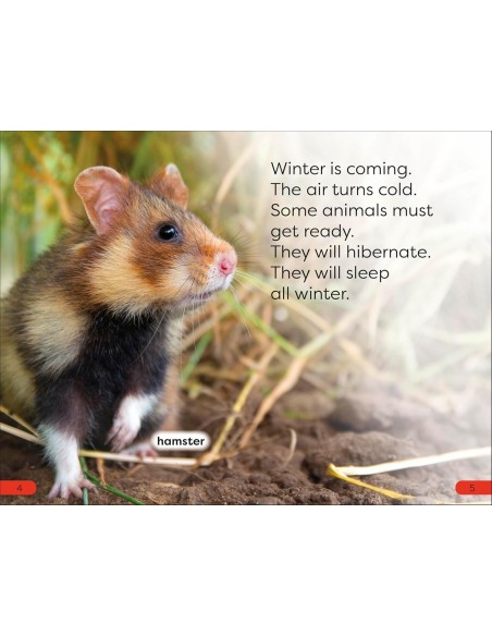 DK Super Readers Pre-Level A Bed For The Winter